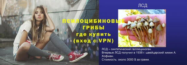 соль курить ск Заводоуковск