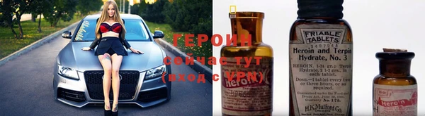 прущие грибы Заволжск