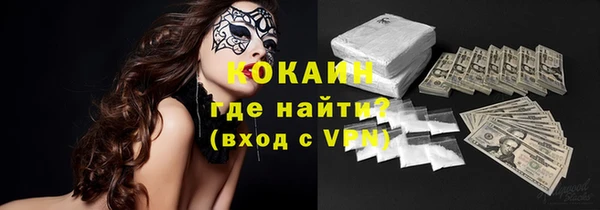 прущие грибы Заволжск