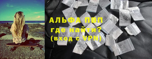 прущие грибы Заволжск