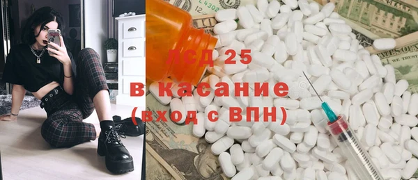 прущие грибы Заволжск