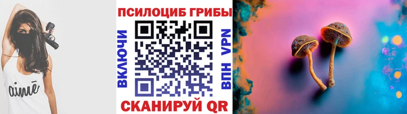 Галлюциногенные грибы MAGIC MUSHROOMS  Купить  Горно-Алтайск 